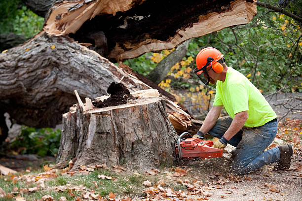 Mulching Services in Redwood, TX